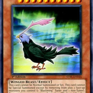 Yu-Gi-Oh! STBL Blackwing - Aurora the Northern Lights