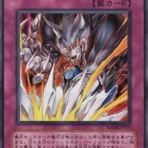 Yu-Gi-Oh! SOVR-JP Ritual Buster