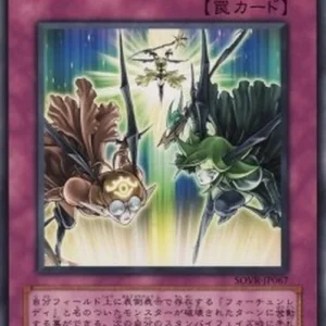 Yu-Gi-Oh! SOVR-JP Inherited Fortune