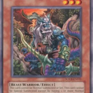Yu-Gi-Oh! SOVR Woodland Archer