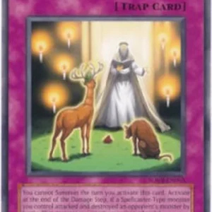 Yu-Gi-Oh! SOVR Enlightenment