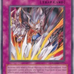 Yu-Gi-Oh! SOVR Ritual Buster