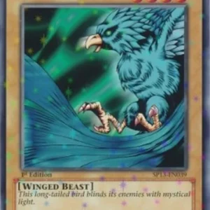 Yu-Gi-Oh! SP13 Faith Bird (V.2 - Starfoil Rare)