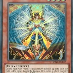 Yu-Gi-Oh! SPWA Honest