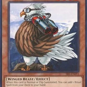 Yu-Gi-Oh! SRL-25TH Sonic Bird