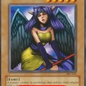 Yu-Gi-Oh! SRL Dark Witch (V.2 - Common)