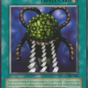 Yu-Gi-Oh! SRL Turtle Oath (V.2 - Common)