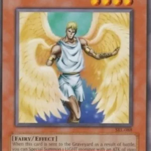 Yu-Gi-Oh! SRL Shining Angel (V.3 - Rare)