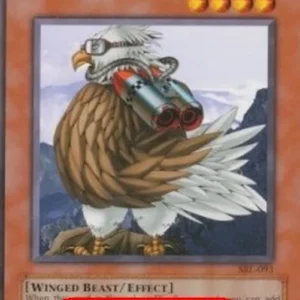Yu-Gi-Oh! SRL Sonic Bird (V.2 - Common)