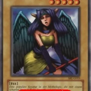 Yu-Gi-Oh! SRL Dark Witch (V.1 - Common)