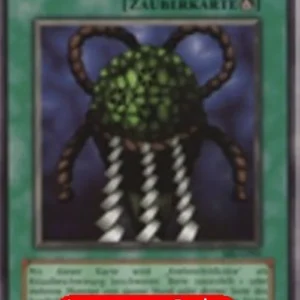 Yu-Gi-Oh! SRL Turtle Oath (V.1 - Common)