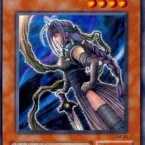 Yu-Gi-Oh! SM The Unfriendly Amazon