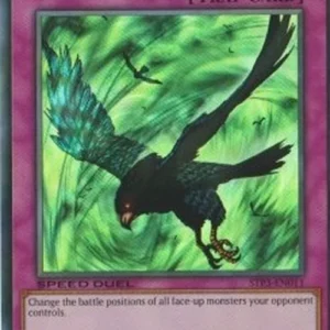 Yu-Gi-Oh! STP3 Windstorm of Etaqua