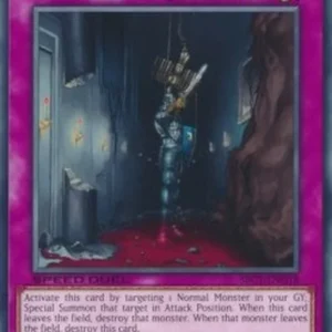 Yu-Gi-Oh! SBC1 Birthright