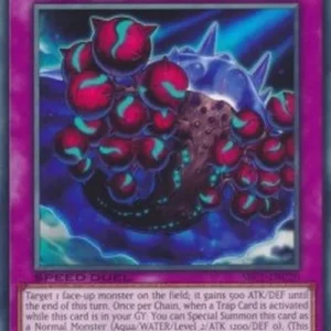 Yu-Gi-Oh! SBC1 Paleozoic Eldonia