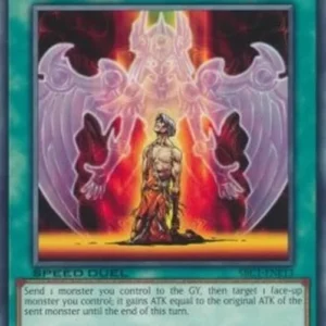 Yu-Gi-Oh! SBC1 Gift of the Martyr