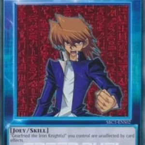Yu-Gi-Oh! SBC1 Iron Grit (Skill)