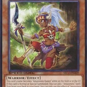 Yu-Gi-Oh! SBC2 Amazoness Princess (V.1 - Common)