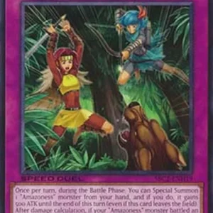 Yu-Gi-Oh! SBC2 Amazoness Onslaught
