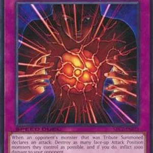 Yu-Gi-Oh! SBC2 Blast Held By A Tribute
