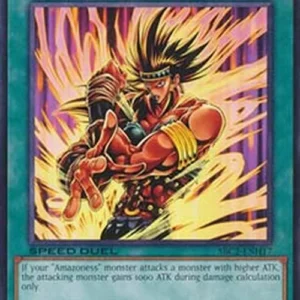 Yu-Gi-Oh! SBC2 Amazoness Fighting Spirit
