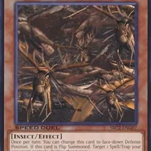 Yu-Gi-Oh! SBC2 Swarm of Locusts