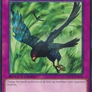 Yu-Gi-Oh! SBC2 Windstorm of Etaqua