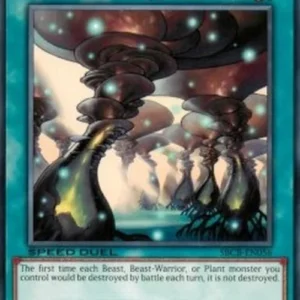 Yu-Gi-Oh! SBCB Spiritual Forest