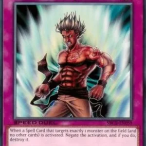 Yu-Gi-Oh! SBCB Riryoku Field