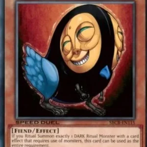 Yu-Gi-Oh! SBCB Ritual Raven