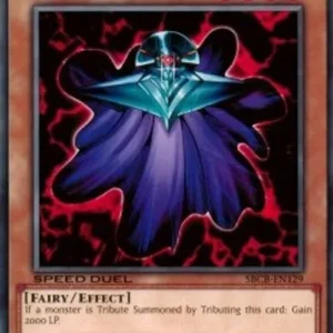Yu-Gi-Oh! SBCB Zolga