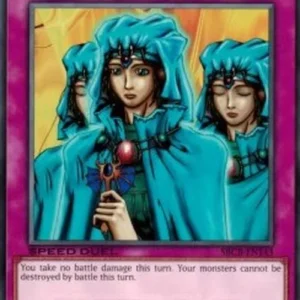Yu-Gi-Oh! SBCB Waboku