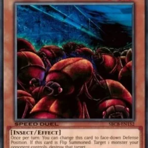 Yu-Gi-Oh! SBCB Swarm of Scarabs