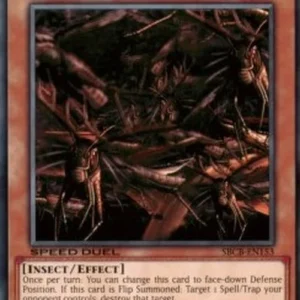 Yu-Gi-Oh! SBCB Swarm of Locusts