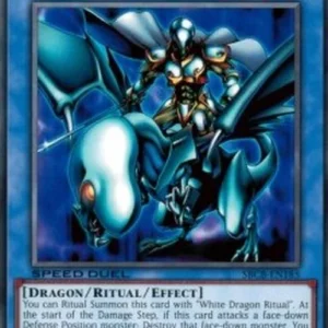 Yu-Gi-Oh! SBCB Paladin of White Dragon
