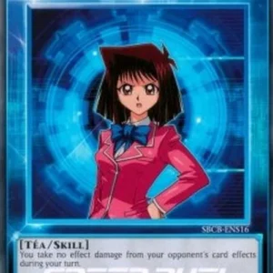 Yu-Gi-Oh! SBCB Power of Friendship