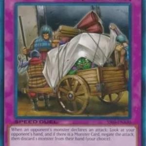 Yu-Gi-Oh! SS05 The Forceful Checkpoint