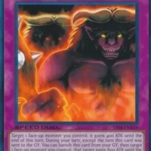 Yu-Gi-Oh! SS04 Skill Successor