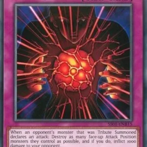 Yu-Gi-Oh! SS01 Blast Held By A Tribute