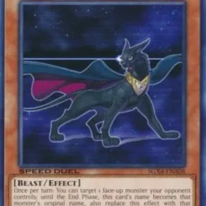 Yu-Gi-Oh! SGX4 Neo-Spacian Dark Panther