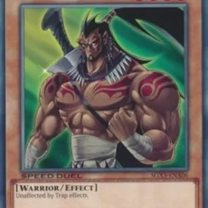 Yu-Gi-Oh! SGX3 Elemental HERO Wildheart