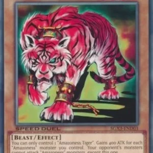Yu-Gi-Oh! SGX3 Amazoness Tiger