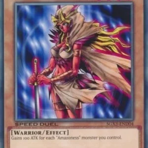 Yu-Gi-Oh! SGX3 Amazoness Paladin