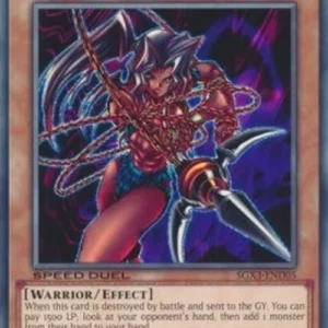 Yu-Gi-Oh! SGX3 Amazoness Chain Master