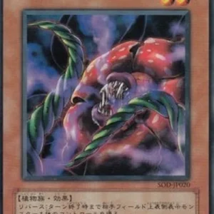 Yu-Gi-Oh! SOD-JP Rafflesia Seduction