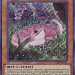 Yu-Gi-Oh! SOFU Danger!? Tsuchinoko?