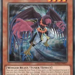 Yu-Gi-Oh! SHVI Blackwing - Decay the Ill Wind