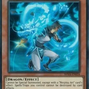 Yu-Gi-Oh! SHVA White Dragon Ninja