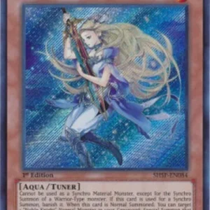 Yu-Gi-Oh! SHSP Lady of the Lake