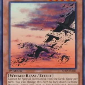 Yu-Gi-Oh! SHSP Swarm of Crows